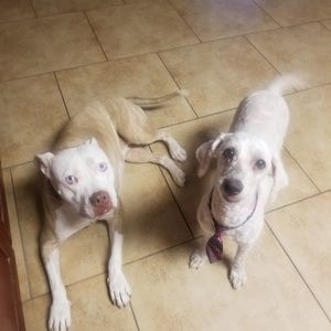 Meet your Posher, Monica